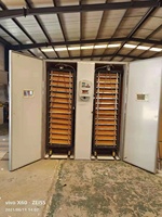 Prix compétitif Grande capacité Incubateur à œufs 10000 œufs Machine d'incubation d'œufs bon marché
