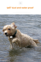 GPS intelligent 4g traqueur de collier pour animaux de compagnie étanche ip7 traqueur de collier de chien Portable GPS positionnement global traqueur pour animaux de compagnie en temps réel