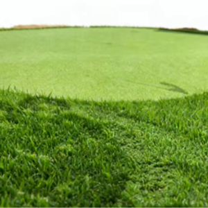 Gazon synthétique de haute qualité personnalisé pour terrain de golf, gazon vert en rouleau, gazon d'intérieur et d'extérieur, vente directe d'usine - Product Image 1