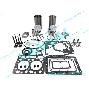 2 Cylinder Overhaul Rebuild Kit For Kubota ZB600 Engine