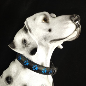 Collar Luminoso LED para Mascotas, Recargable por USB, de PVC, con Iluminación RGB Única, Patrón 3D, Cintas de Alta Visibilidad, Ajustable, Brillo Nocturno - Product Image 3