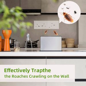 Piège à insectes collant jaune personnalisé en usine, piège puissant pour les insectes volants, les mouches des fruits, les mouches domestiques, <span class=keywords><strong>la</strong></span> cuisine, le salon, <span class=keywords><strong>la</strong></span> lutte antiparasitaire - Product Image 5