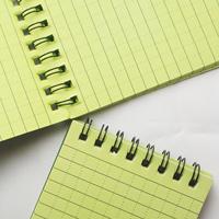 Carnet tactique imperméable en PVC - Bloc-notes spirale vert toutes saisons pour les amateurs de plein air et les professionnels - Cadeau