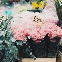 Offre Spéciale personnalisé bambou jardinage plante étiquettes pépinière signe étiquette en bois plante pépinière étiquette pour jardinières plantes étiquettes