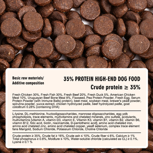 Nourriture sèche pour chiens adultes de grande race, glucosamine et chondroïtine pour la santé des articulations, gros croquettes pour le nettoyage des dents, 10 kg - Product Image 6