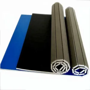 Para esteras de gimnasio Woosung para BJJ Judo Tatami Roll Out Venta caliente para practicantes de Taekwondo y Karate - Product Image 2