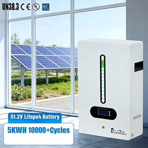 Solar 51.2V 5KW Lithium <b>Iron</b> Phosphate Hybrid Home Appliance Energy Storage RS485/RS-232 Communication Port Solar System High Ca - Product Image 1