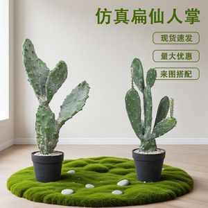 Cactus Artificial Dream Castle de 46 cm, Bonsái de Múltiples Cabezas, Planta Decorativa Plana para Interiores, Adorno para el Hogar Estilo Desierto - Product Image 5