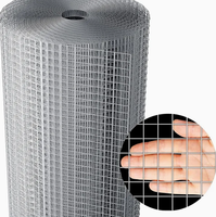 Maille de fil métallique soudée galvanisée à chaud, durable et facile à installer, conçue pour l'élevage de poulets et de canards
