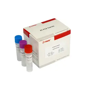 PRV-gB RT-PCR Kit Veterinary Instrument For Detection Of Porcine Pseudorabies Virus GB