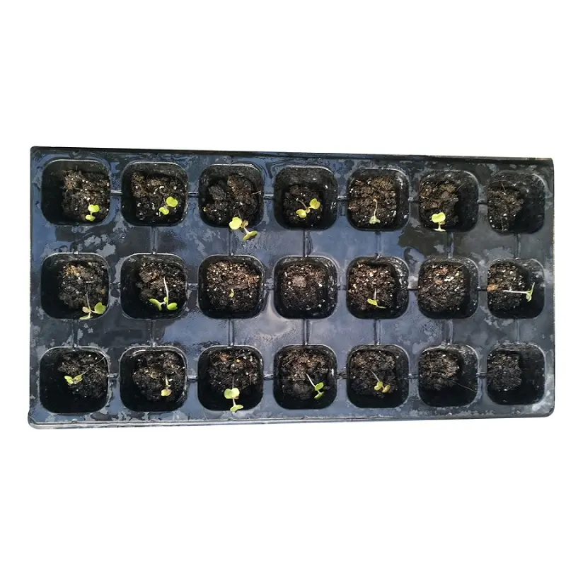150 отверстий для теплицы, термоформованные с пластиковыми плоскими лотками из семян Папайи