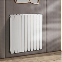 Radiateur design en acier 6015 à tubes plats, double passage horizontal, 600 mm de haut, blanc, pour chauffage domestique