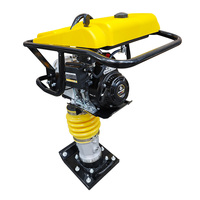 Compacteur vibrant diesel LUDWIG GTR80 3-6HP pour travaux de construction
