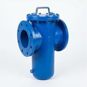 Filtre à panier industriel manuel à bride en acier galvanisé pour conduites d'eau, d'huile et de gaz Sealmech - Product Image 2