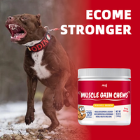 Complément Protéiné à Croquer pour Chiens Marque Privée OEM – Favorise la Prise de Masse Musculaire, Renforce le Système Immunitaire avec des Vitamines