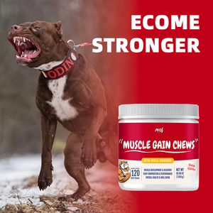 Suplemento de Proteína <span class=keywords><strong>en</strong></span> Tabletas Masticables para Perros, Marca Privada OEM, Favorece el Desarrollo Muscular, Fortalece el Sistema Inmunológico con Vitaminas - Product Image 3