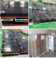 Paket Baterai LiFePO4 OEM ODM Kustom 12V 24V 48V 100Ah 200Ah 300Ah 8000 Siklus Dalam Sistem Penyimpanan Energi Surya Lithium untuk ESS