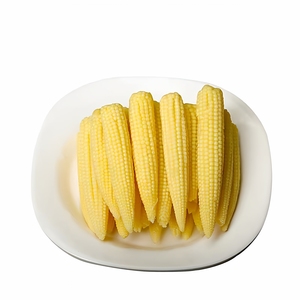 Maíz de bebé dulce enlatado del alimento verde al por mayor de fuente nutritiva de la experiencia rica de la exportación de China para los niños - Product Image 2