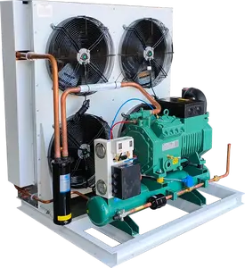 Unidade de condensação de baixa energia da resistência de vibração do fabricante para armazenamento em câmaras frigoríficas