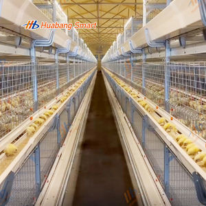 Cage à poulets de type H pour l'élimination du fumier à chaîne de traction avec ventilation efficace pour poulailler de style fermé - Product Image 1