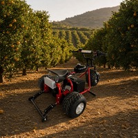 Kart à trois roues électrique 1800W 48V, différentiel, batterie lithium, 2 freins à disque hydrauliques, 45 km/h, autonomie 20 km, 200 kg
