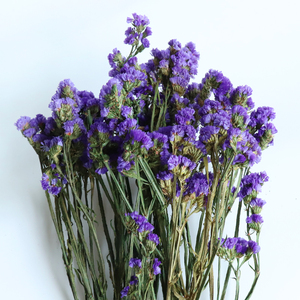 Suministro directo de fábrica Flor eterna Flor estática preservada duradera No <span class=keywords><strong>me</strong></span> olvides para la decoración de la boda del Día de San Valentín - Product Image 4
