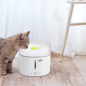 Bebedero Automático ALL-FOR-PAWS Purefect, Fuente de Agua para Gatos, Dispensador de Agua para Perros, Fuente para Mascotas - Product Image 3