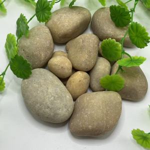 Ciottoli gialli decorativi naturali di pietra di ciottoli di fiume di qualità all'ingrosso della fabbrica per <span class=keywords><strong>il</strong></span> giardino - Product Image 3