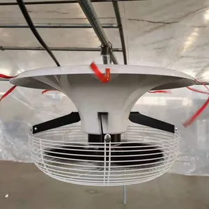 Neudizierter hocheffizienter vertikaler Gewächshausventilator 220 V Landwirtschaft-Luftschwingventilator zu verkaufen