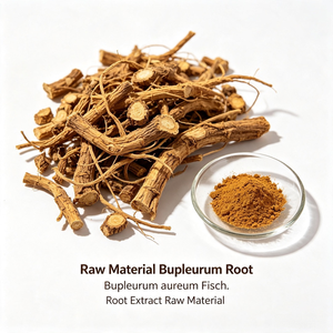 Extracto de Bupleurum 10:1 TLC, Extracto de Raíz de Bupleurum <span class=keywords><strong>Aureum</strong></span> Fisch, Polvo Fino Amarillo Marrón, Extracto Herbal - Product Image 2