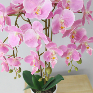 Real Touch Décoration de table Orchidée artificielle Bonsaï Plante Arbres artificiels en plastique - Product Image 5