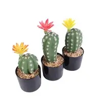 Commercio All'ingrosso Artificiale Mini Succulente Piante Piante di Plastica Cactus Succulente Pianta Bonsai per La Casa Decorazione Dell'interno