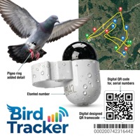 Support de fixation réglable pour anneau GPS de pigeon, pour les fanciers et les éleveurs, avec installation à vis unique et poids équilibré de 2,2 g