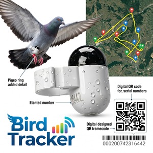 Práctico Anillo Rastreador GPS <span class=keywords><strong>para</strong></span> Palomas, Sin Necesidad de SIM, Anillo de Pierna con GPS y Wi-Fi <span class=keywords><strong>para</strong></span> Clubes de Palomas de Competición - Product Image 2