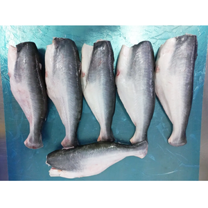 Pangasius Basa IQF HGT Congelé, Lot de 10kg, Origine Vietnam, Haute Qualité, Vente Directe Usine - Product Image 2