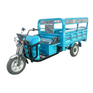 Tricycle électrique de transport pour adultes, tout-en-un, pour passagers et marchandises, avec abri pluie en option pour une utilisation par tous les temps - Product Image 6