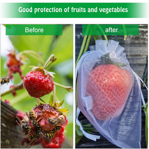 Recyclable Nylon <strong>Mesh</strong> Storage Bag Insect &amp; Bird-Proof Gauze <strong>Mesh</strong> For Fruit &amp; Seed Breeding Textile Packaging - Product Image 3