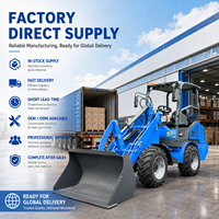Professioneller Technischer Support Elektrischer Lader 5kW Hydraulikmotor LOGWAY Kompaktes Design Hof- und Bau-Elektrolader