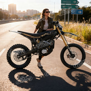 2026 신제품 21kW 74V 60Ah 95km/h 오프로드 성인용 서론 울트라 비 - Product Image 1