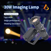 AICPOSE - Nuevo Producto Personalizado, Mini Luz de Imagen de 30 W, 2 Canales, Foco LED con Zoom, Luz de Escenario