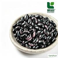 Haricots rouges mouchetés de qualité supérieure Liang Tian – Vente en gros usine, meilleur prix, haricots pintos très demandés, riches en nutriments