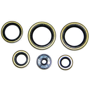 NRTeam Ktm SX 150 09-15 Kit de joint d'huile moteur FKM Auto Piston Arbre TCN Emballage avec joint en caoutchouc pour usage automobile - Product Image 1