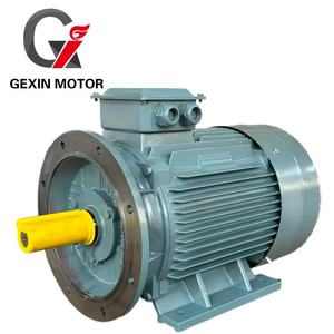 มอเตอร์ไฟฟ้า AC แบบอะซิงโครนัส3เฟส110KW IE2 380V 50Hz/60Hz ส่งตรงจากโรงงาน - Product Image 1