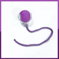Balle interactive pour chat, jouet auto-entretenant pour chatons, accessoire pour animaux de compagnie, pour l'exercice intérieur, le soulagement de l'ennui et le plaisir quotidien