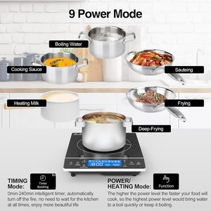 Vente en gros de cuisinière à induction portable à brûleur unique en verre céramique avec écran LED à commande tactile étanche 2000W - Product Image 6