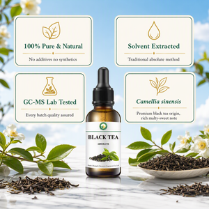 Arômes de relaxation pour l'aromathérapie bien-être, Absolue de thé noir (Camellia Sinensis) 100% pure pour diffuseur SPA - Product Image 3
