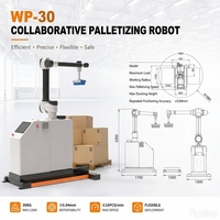 Robot palettiseur automatique électrique pour emballage de cartons en verre, bras robotisé collaboratif de 40 kg de charge utile pour ligne d'emballage