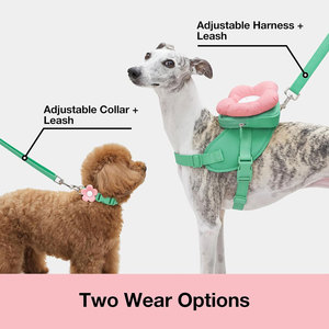 Custom Flora Dog Harness Set Adjustable No Pull Dog Harness and Leash Set Dog Harness Vest Soft Padded OEM Dog Harness Set - Product Image 3