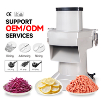 Baiwin Multifunctionele Groente Snijmachine, Groente Blokjes Snijmachine, Groente Shredder voor Restaurantkeukens