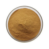 Polvo de extracto de raíces Ruscus Aculeatus, brocha de nalgas Natural